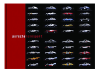Porsche Rennsport  Haynes
