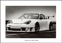Porsche 996 GT3 RSR print
