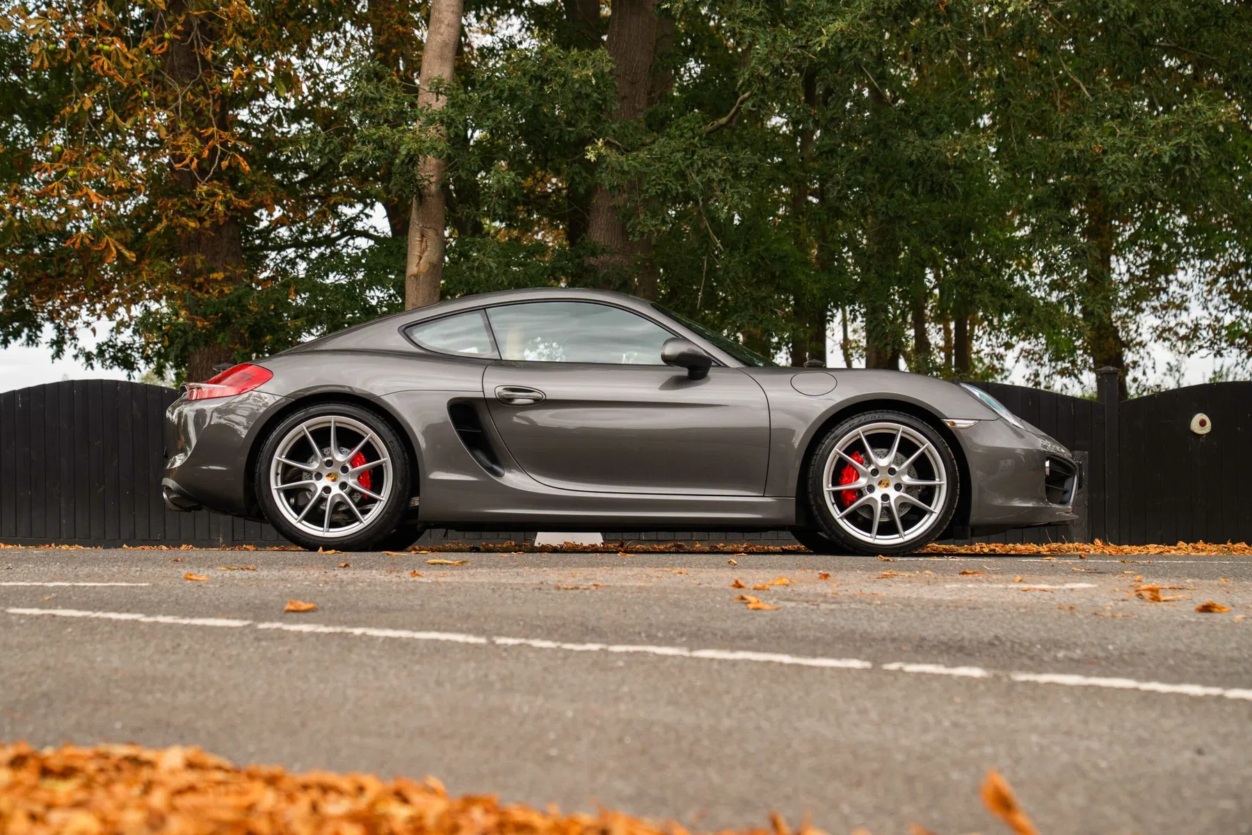 Porsche 981 Cayman SCoupé, 2013