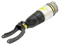 Dunlop Air Suspension