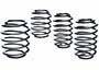 Lowering Springs