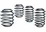Lowering Springs