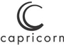 Capricorn Engine parts
