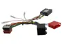 Steering Wheel Control Interface