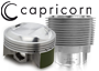 Replacement Engine Parts (Capricorn)
