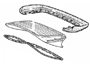 Rear Spoiler Seals