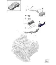 Ventilation for cylinder block oil separator - PR:TV8 + GP2 - 95B (II / III) Macan 2.9L 2019 - 2024