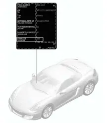 Paint touch-up applicator / Paints 981 Boxster / Boxster S 2012-16