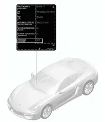 Paint touch-up applicator / Paints 981C Cayman / Cayman S 2014-16