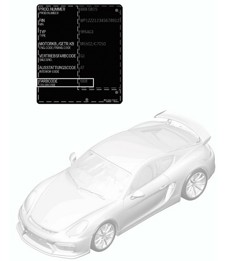 Paint touch-up applicator / Paints 981C Cayman GT4 2016