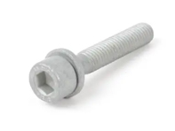 Bolt with washer 90006731601