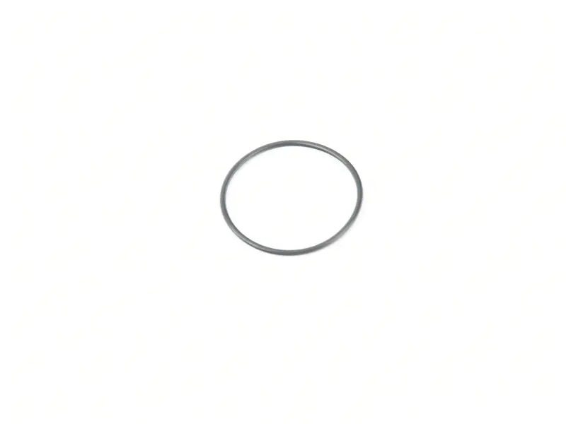 Seal ring 91111093200