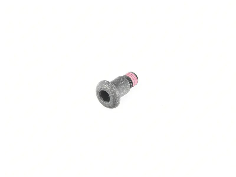 shaft screw 91156141801