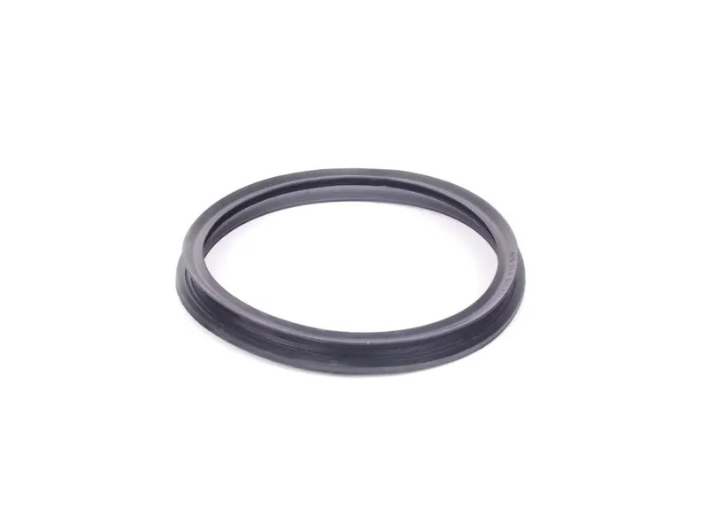 Seal ring 95520113301