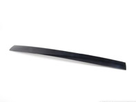Trim strip for tailgate 95555536501