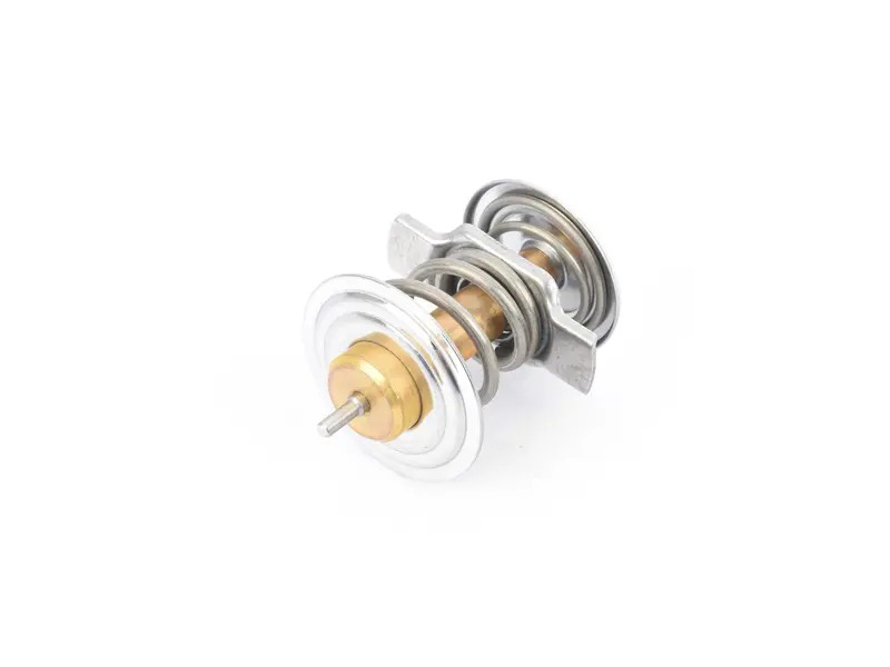 thermostat 99610612554