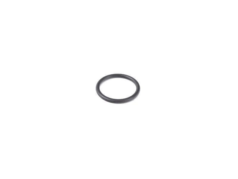 O-Ring 99923054240