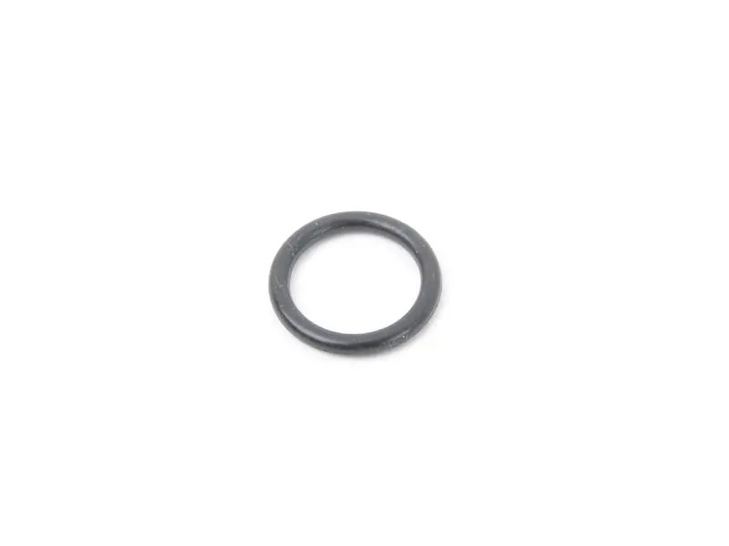 O-Ring 99970101250