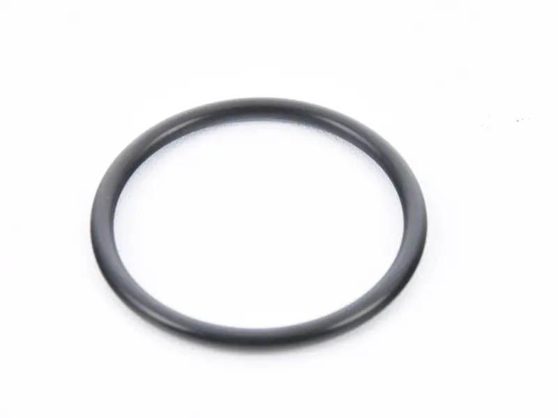 O-Ring 99970163240