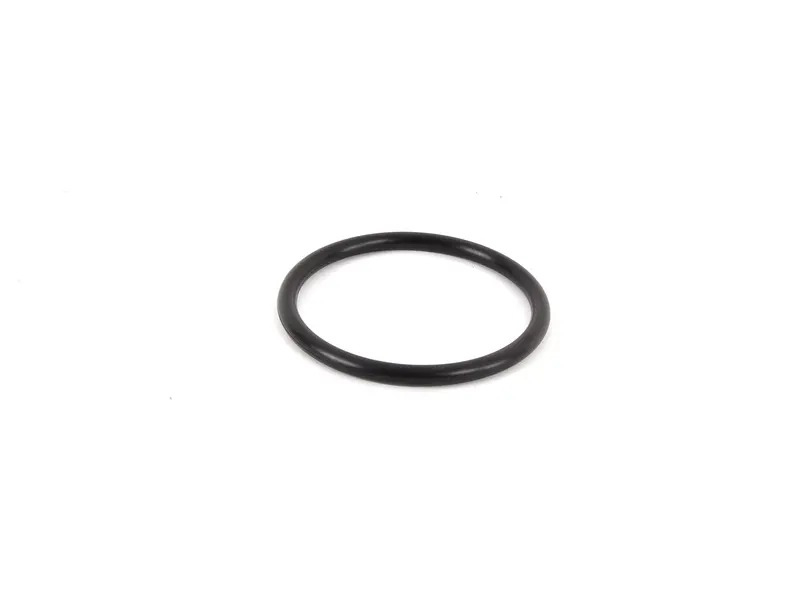 Seal ring 99970169940