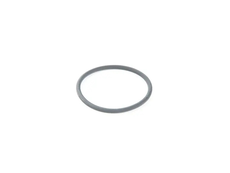 O-Ring 99970701240