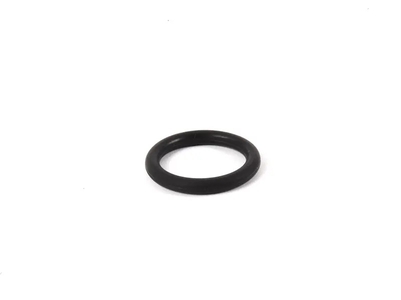 O-Ring 99970711341