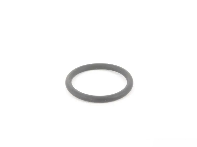 O-Ring 99970731641