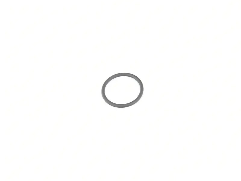 O-Ring 99970740441