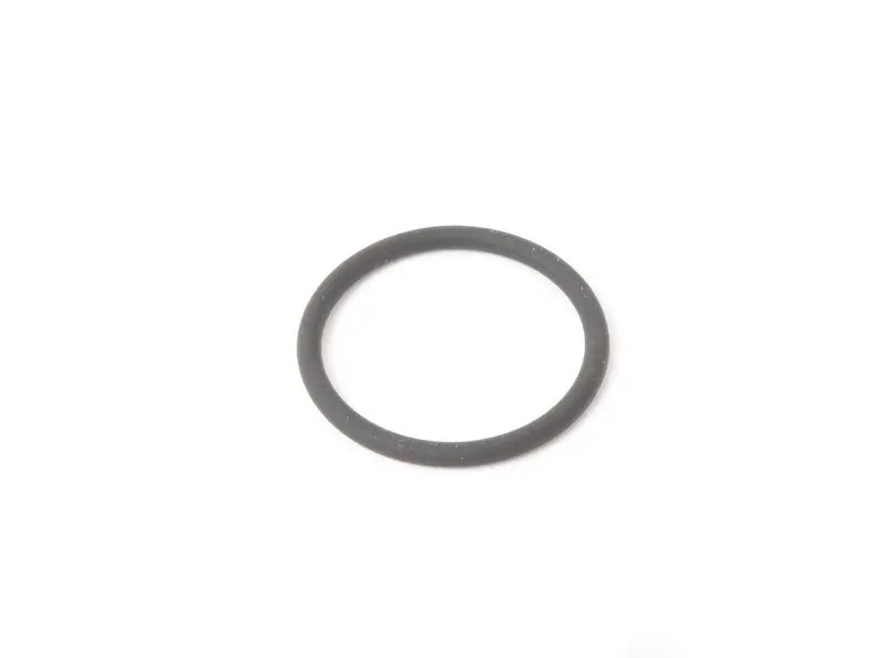 O-Ring 99970742641