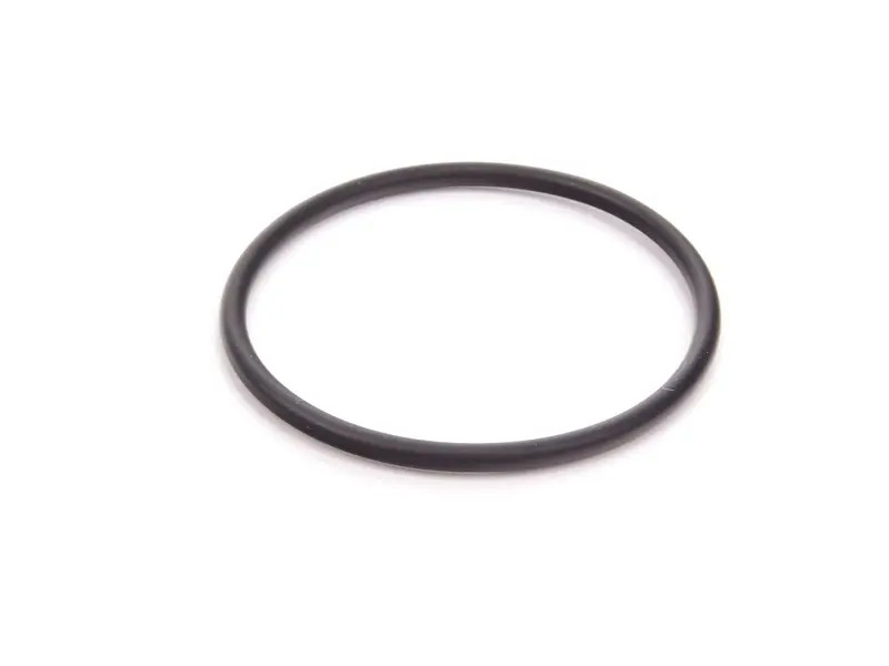 O-Ring 99970750240