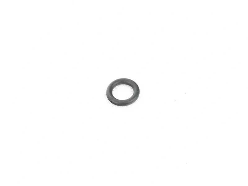 O-Ring 99970767040