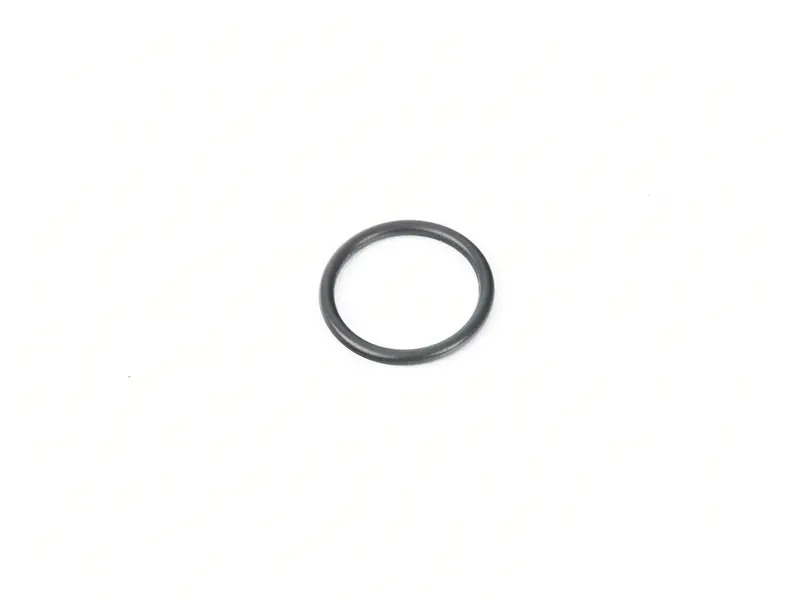 O-Ring 99970767741