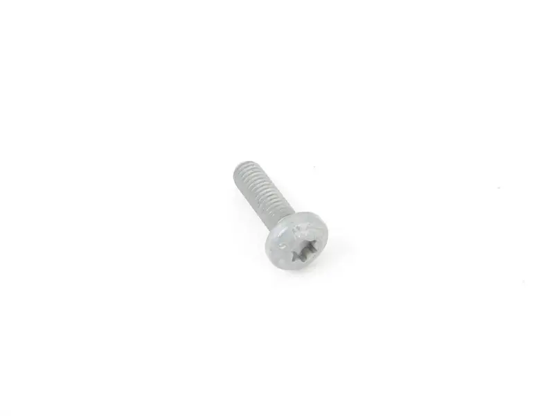 Oval hexagon socket head bolt N10124306