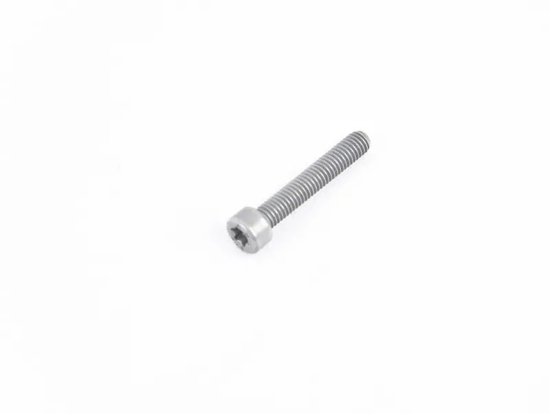 hexagonal socket head screw N10510301