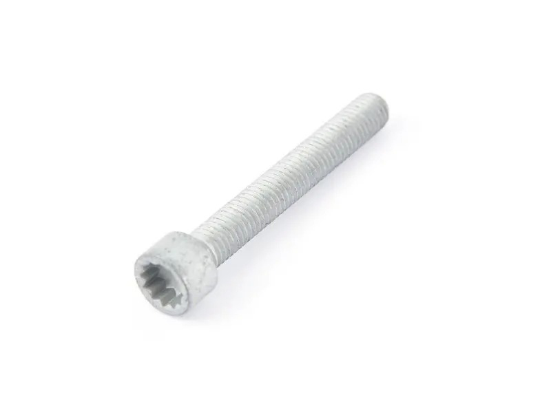 socket hd. screw with polygon socket N10724701