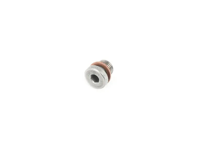 Seal bolt (combination) N90281802