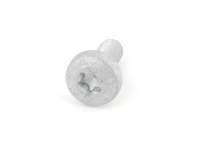Oval hexagon socket head bolt N91096701