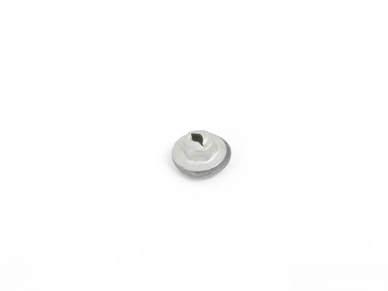 nut WHT004974