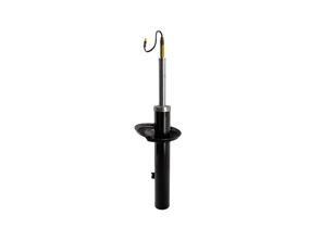 Shock Absorber, Rear. Porsche 982 Boxster / Cayman (718) 2017>> - 982513031F, 982513031A, 982513031D