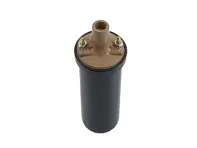 Ignition coil Porsche 911 1969-83 & 930 1975-89 PermaTune - 90160250200, 108536105, PCG602502A - sc010