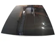Roof external panel GT3 RS style, carbon fibre. Porsche 991