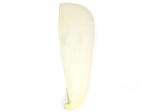 Backrest side bolster foam. Porsche 911 1970-73 - 91152119100, 91152119200, 5211920003, 5211910003