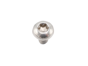 Fillister Head Screw, M6 x 10. Porsche 997 Turbo / 991 Turbo / 992.1 Turbo - PAF008313, 9990732360A - 101432