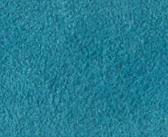 Alcantara 1259