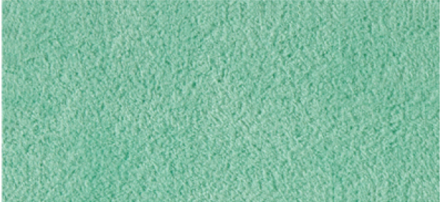 Alcantara 1363