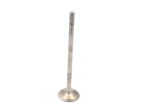 Engine cylinder head exhaust valve. Porsche 992.1 Carrera - 0PB109611