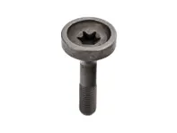 Torx screw exhaust cam sprocket M12x1,5x60. Porsche 987.2 / 981 / 997.2 / 991.1 - 9A110525502, 9A110525501
