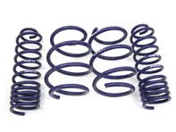 H&R Lowering Springs Kit. Renault Megane Sport (165kW) 04- - 29190-1, 291901
