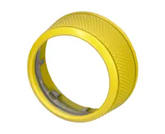 Racing Yellow