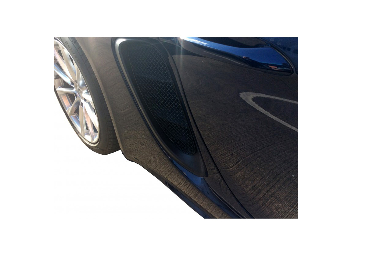 Zunsport Schwarz Vorne Unten Gitter Für Ford Fiesta St 2006-08